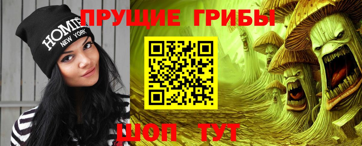 Сочи  Галлюциногенные грибы Magic Shrooms  где купить наркотик  Вход с VPN  Галлюциногенные грибы Psilocybine cubensis 