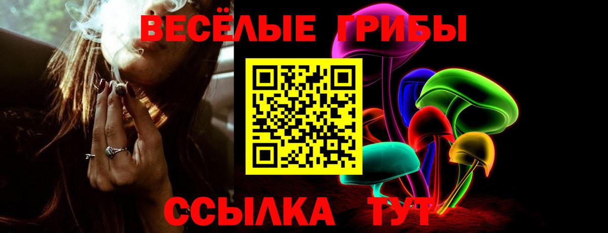 Псилоцибиновые грибы Psilocybe Сочи